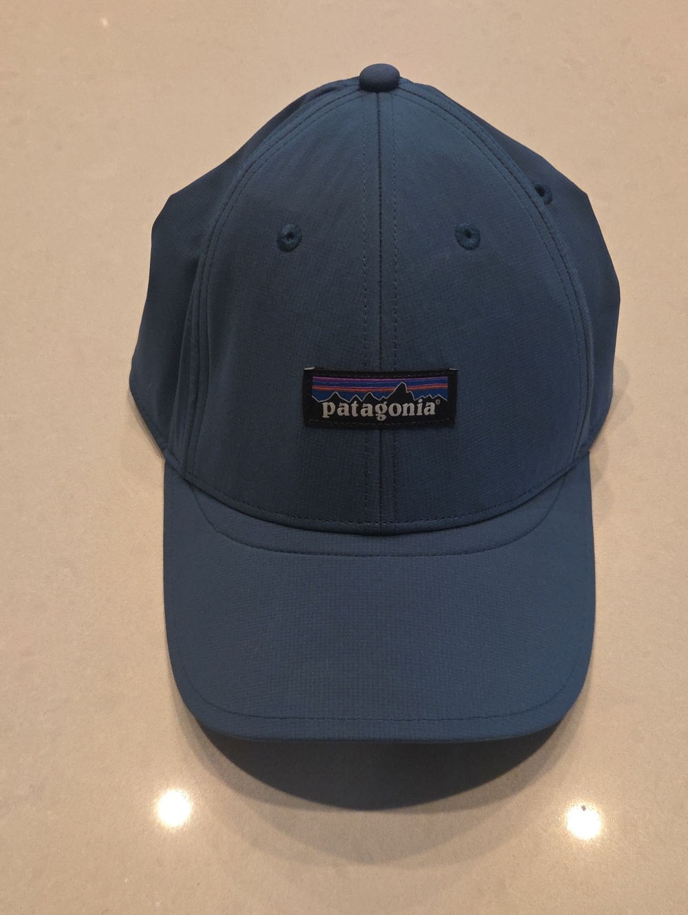 Patagonia Blue Logo Cap